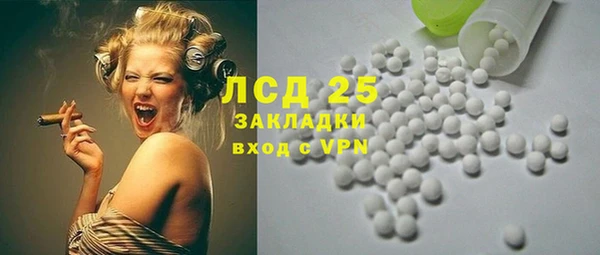 spice Аркадак