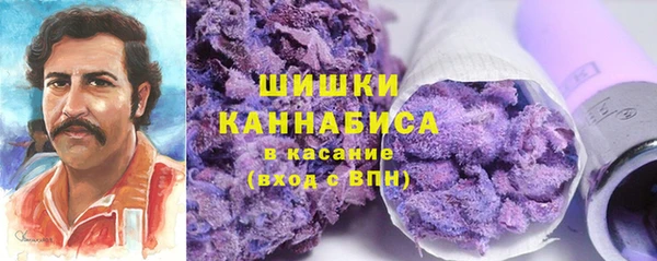 spice Аркадак