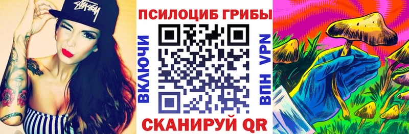 даркнет телеграм  закладки  Нововоронеж  Галлюциногенные грибы GOLDEN TEACHER 