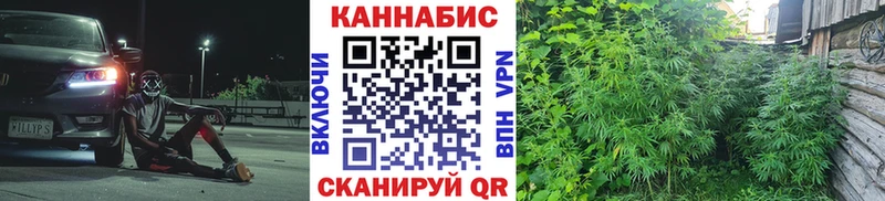 kraken вход продажа наркотиков Нововоронеж Конопля семена